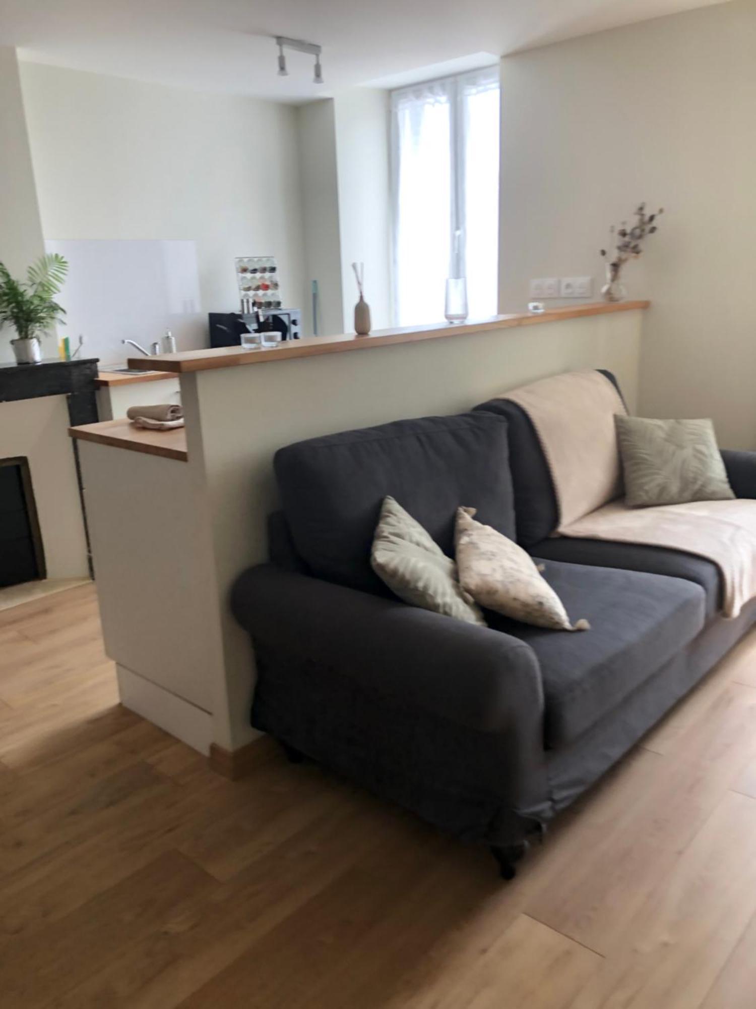Appartement Burin des rosiers à Olby Extérieur photo